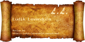 Ludik Levendula névjegykártya